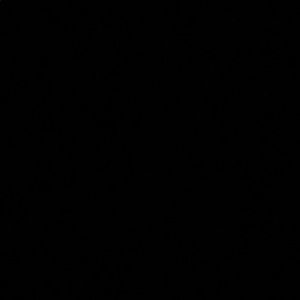 Meet your Posher, Kendall